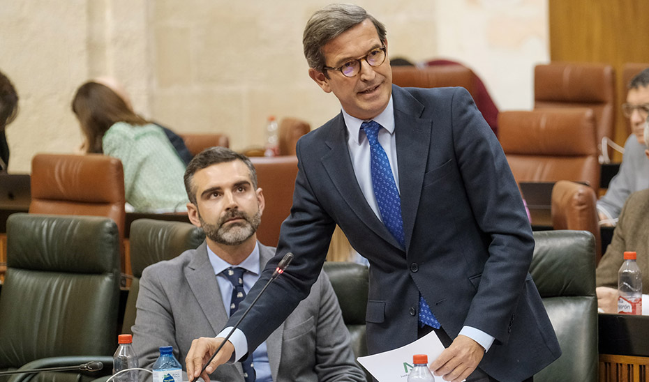 El consejero de Política Industrial, Jorge Paradela, durante su intervención en el Parlamento.